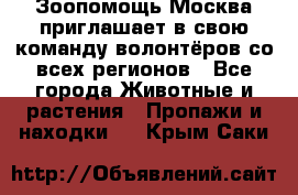 Зоопомощь.Москва приглашает в свою команду волонтёров со всех регионов - Все города Животные и растения » Пропажи и находки   . Крым,Саки